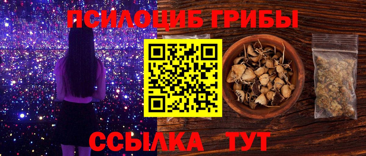 Галлюциногенные грибы MAGIC MUSHROOMS  Галлюциногенные грибы MAGIC MUSHROOMS  Вход с VPN  Вышний Волочёк 